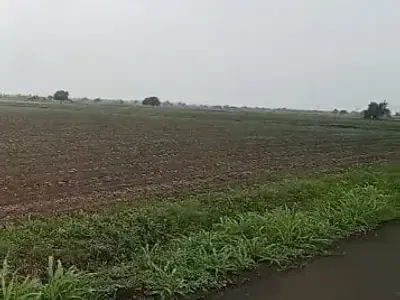 Road Touch Agriculture Land Savarkundla