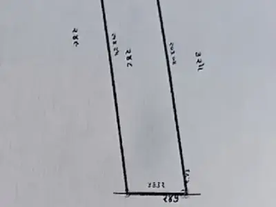 6. 25  વિઘા 6. 25 વિઘા ના 2
