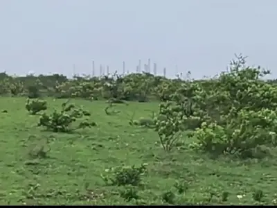જમીન વેચવાની છે