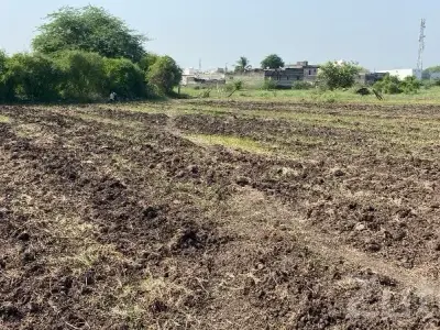 Agricultural Land Plot in Rajkot City Agricultural Land Plot in Rajkot City