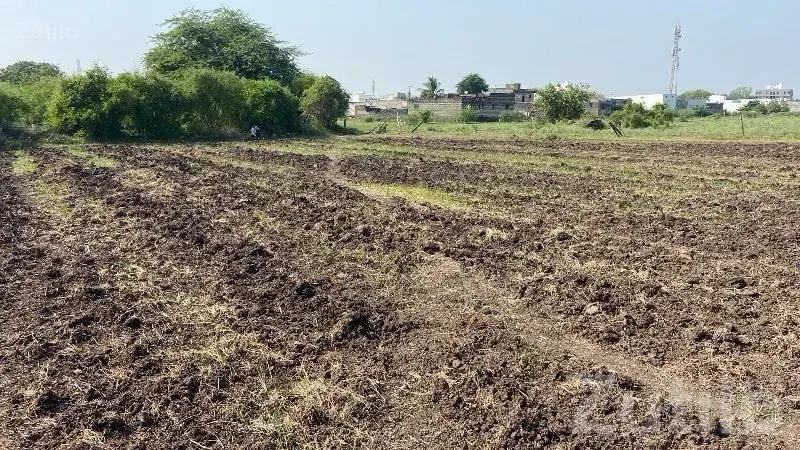 Agricultural Land Plot in Rajkot City - Land & Plots - Rajkot City - Image 1