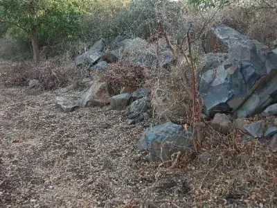 Rocky Land Plot for Sale near Jamnagar Rocky Land Plot for Sale near Jamnagar