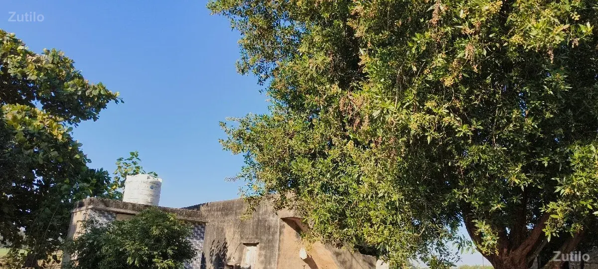 જમીન વેસવાની - Land & Plots - Vapi - Image 3