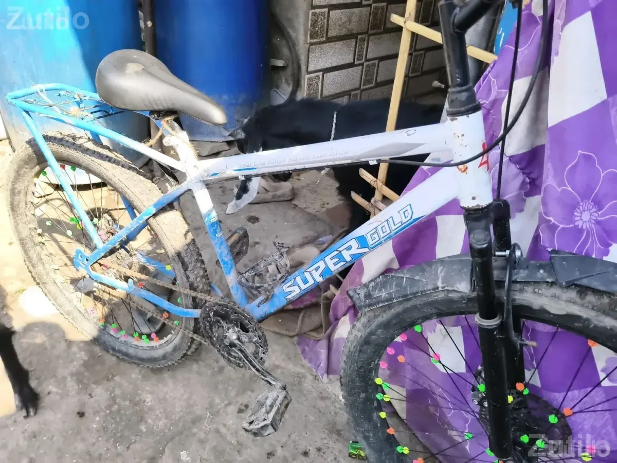 Super Gold Adult Bicycle - પુખ્ત વયના માટે સાયકલ - જામજોધપુર - Image 5