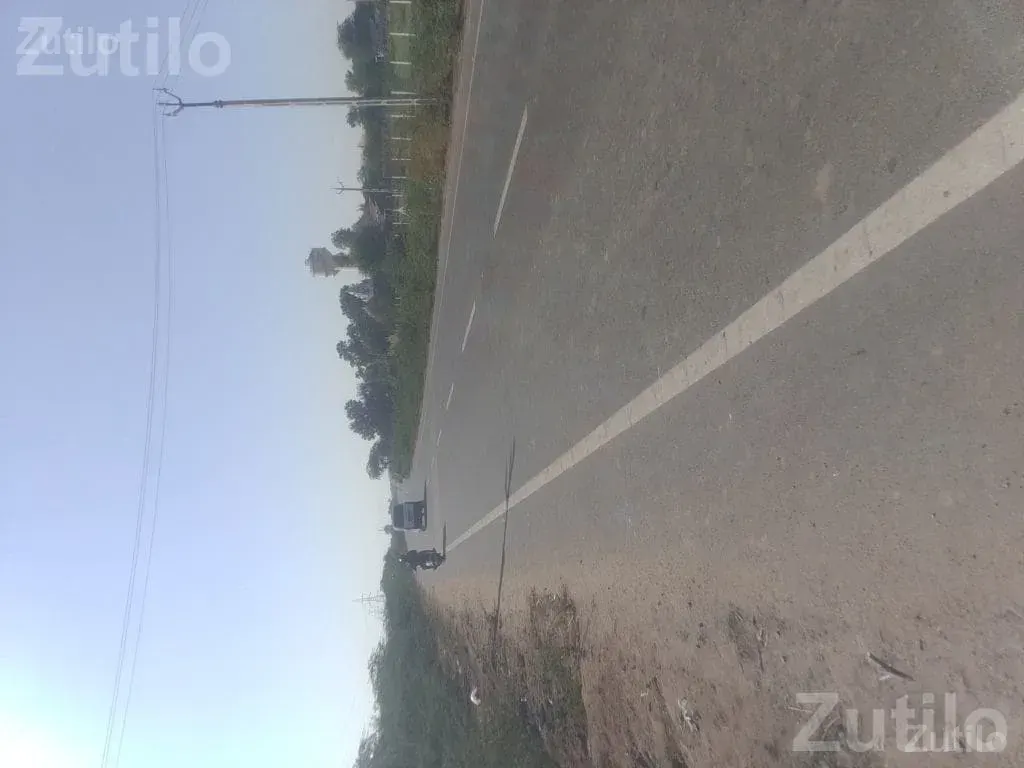Roadside Open Land Plot for Sale - Land & Plots - Radhanpur - Image 3