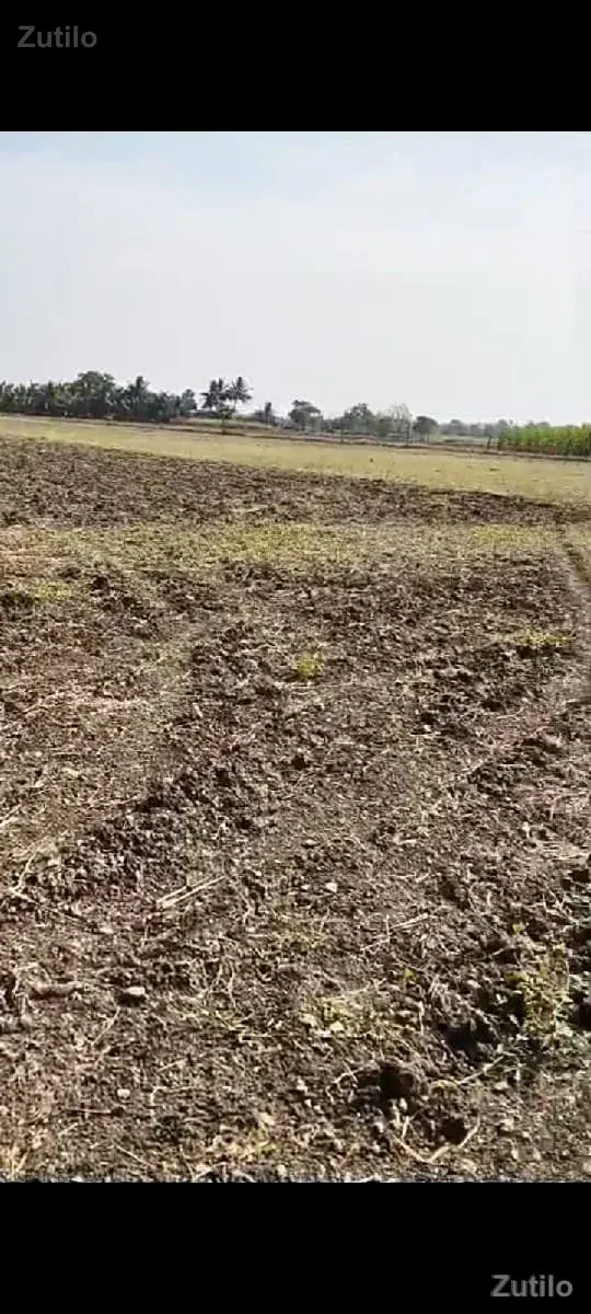 જમીન - Land & Plots - Somnath - Image 3