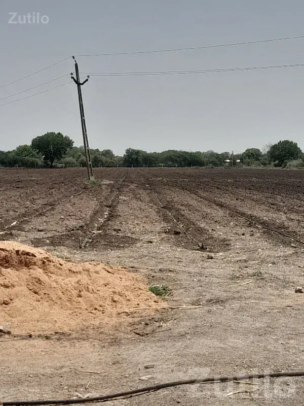 23.5 Vigha Fertile Farm Land with Well - Land & Plots - Vadodara City - Image 3