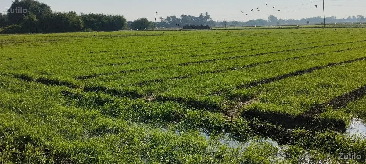 જમીન વેસવાની - Land & Plots - Vapi - Image 2