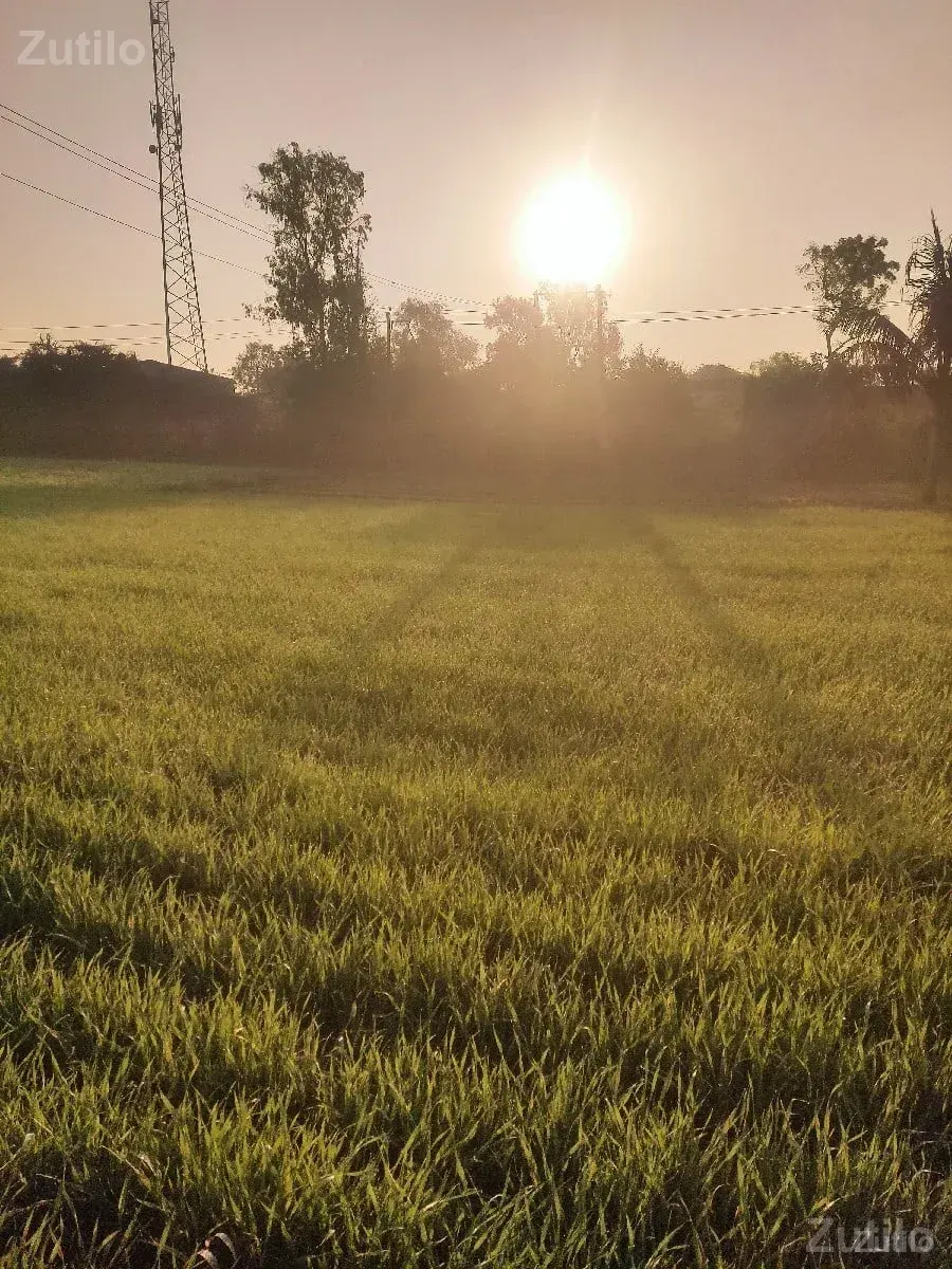 લાઠોદરા ગામ જમીન વેચવાની છે - Land & Plots - Vyara - Image 3