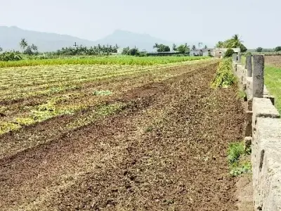Fertile Agricultural Land in Talala Junagadh Fertile Agricultural Land in Talala Junagadh