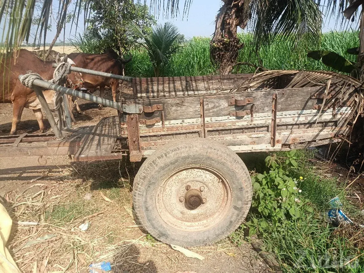 Heavy Duty Farm Cart Gadu for Sale - બાંધકામના વાહનો - કેશોદ - Image 2