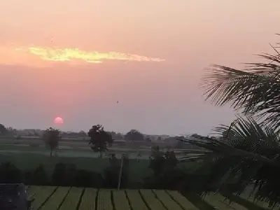Scenic Agricultural Land with Sunset View Scenic Agricultural Land with Sunset View