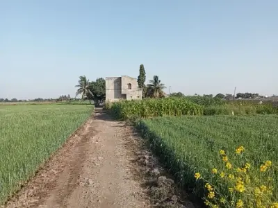 Agricultural Land Plot for Sale Agricultural Land Plot for Sale
