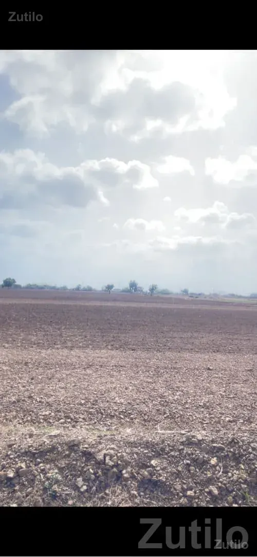 28 Vigha Road Touch Fertile Agriculture Land - Land & Plots - Khambhalia - Image 2