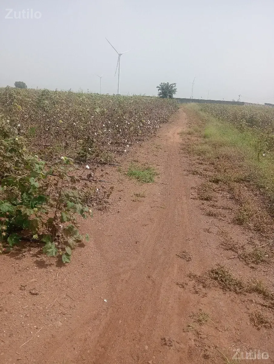 3 akr 10 gutha - જમીન અને પ્લોટ - વાંકાનેર - Image 3