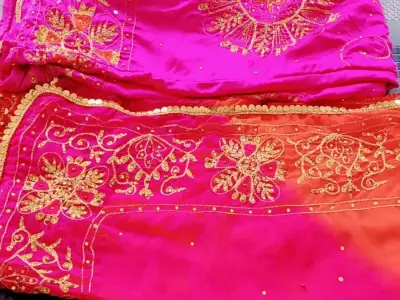 Pink Embroidered Chaniya Choli Set Pink Embroidered Chaniya Choli Set