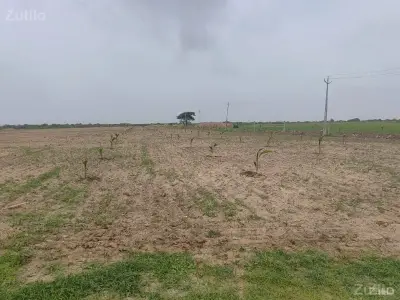જમીન વેચવાની છે જમીન વેચવાની છે