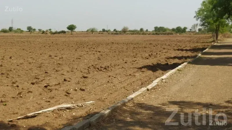 29 Vigha Fertile Agriculture Land Gondal - જમીન અને પ્લોટ - ગોંડલ - Image 3