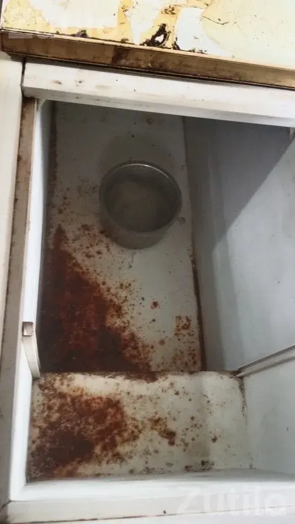 Blue Star Deep Freezer Used Working - Refrigerators - Ranpur - Image 3
