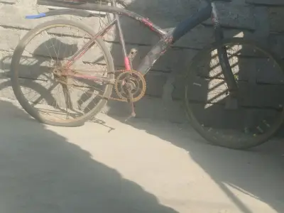 Single Speed Bicycle for Daily Use Single Speed Bicycle for Daily Use
