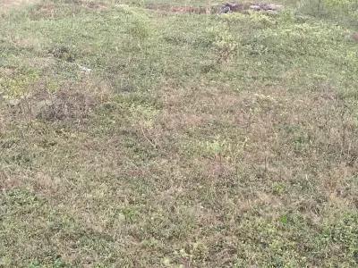 આ જમીન વેચવાની છે આ જમીન વેચવાની છે