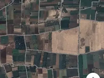 9 Bigha Agriculture Land Near Una 9 Bigha Agriculture Land Near Una