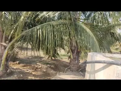 જમીન..વેચવાની..છે.બગીચો