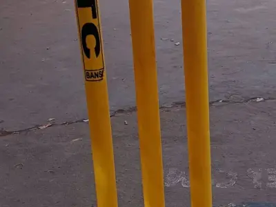 Plastic Cricket Wicket Stumps Set Plastic Cricket Wicket Stumps Set