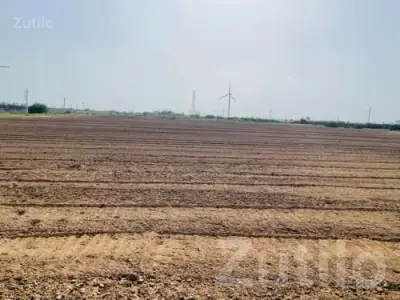 12 Vigha Irrigated Farmland for Sale 12 Vigha Irrigated Farmland for Sale
