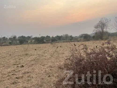 7 Bigha Agricultural Land Songadh - જમીન અને પ્લોટ - સોનગઢ - Image 2