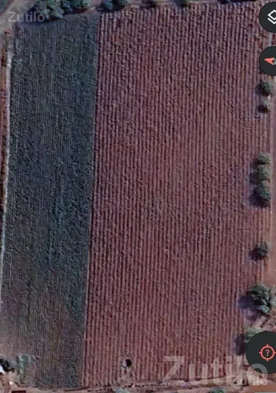 Jamkandorna Road Touch Agricultural Land - Land & Plots - Jamkandorna - Image 2