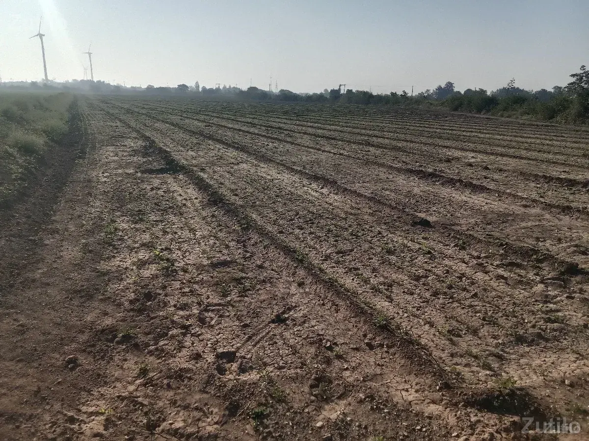 ૧૧૦૦૦૦૦ વીઘો કુલ ૨૨ વીઘા - Land & Plots - Bhanvad - Image 2