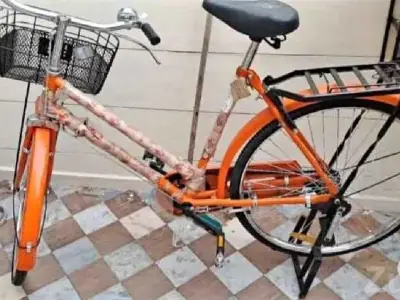 New City Bicycle with Basket and Carrier New City Bicycle with Basket and Carrier