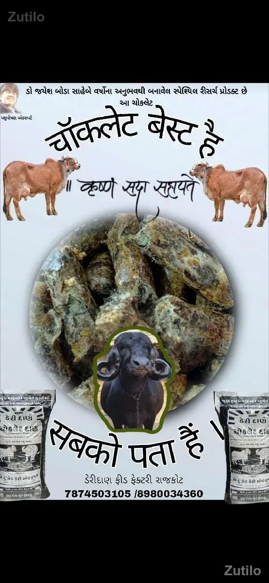 ગાયો ને ભેંસો માટેની ચોકલેટ - Cars - Dhari - Image 3
