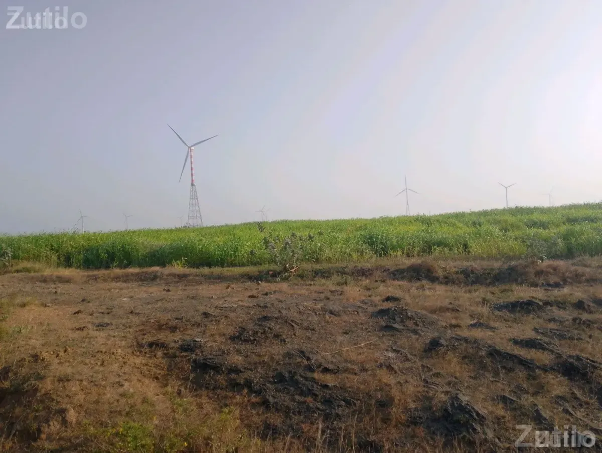7 Bigha Agricultural Land Plot for Sale - જમીન અને પ્લોટ - ખંભાળિયા - Image 2