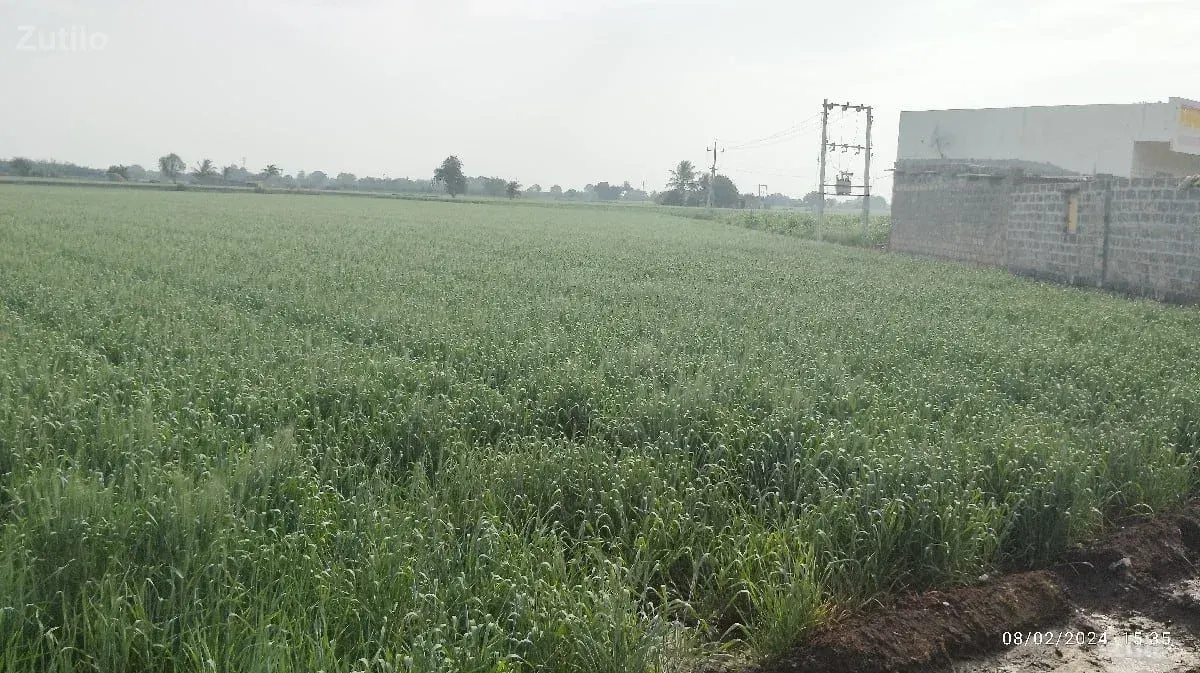 જમીન હાયવે ટસ  વેચવાની છે ઉપલેટા - Land & Plots - Bhanvad - Image 2