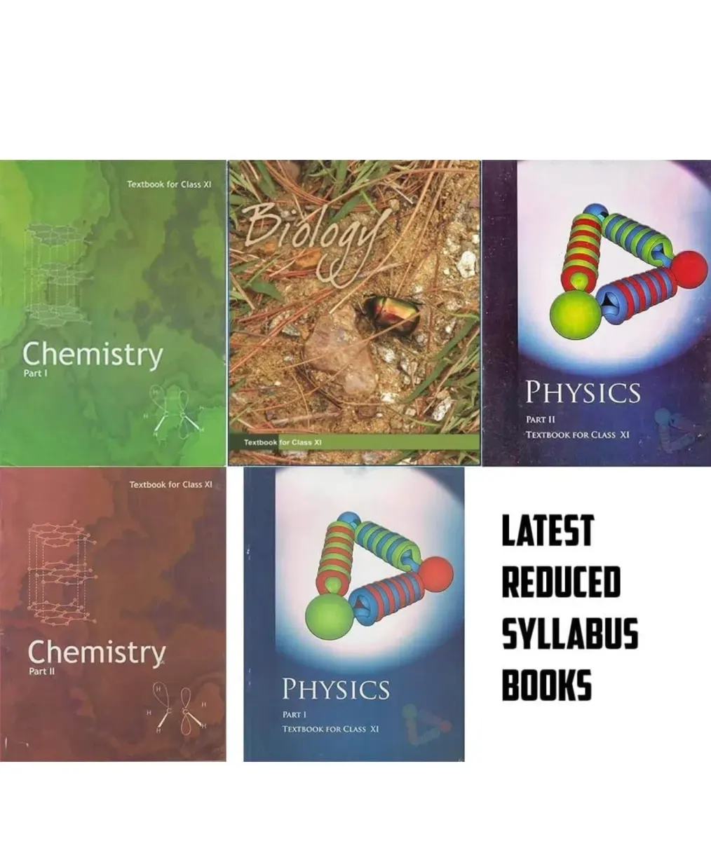 All class 11th ncert - School Books - Rajkot City - Image 1