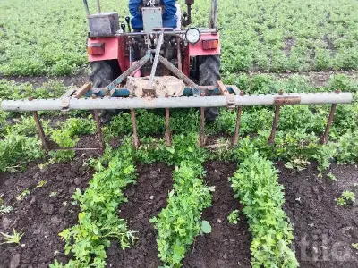 10 Vigha Fertile Agriculture Land