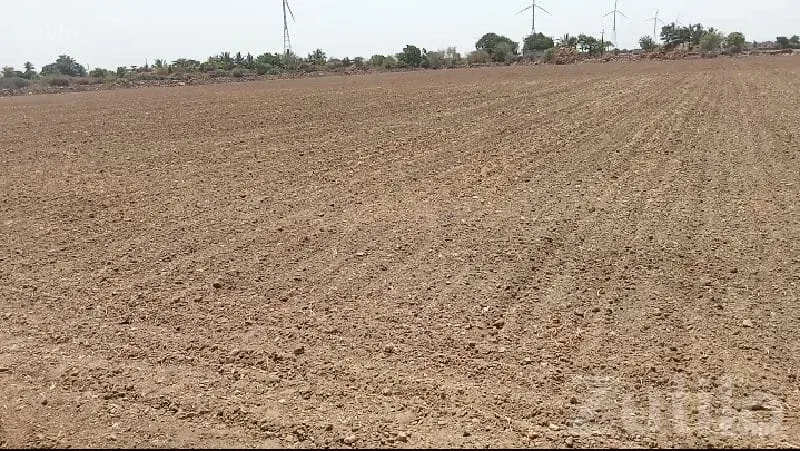 Fertile Agricultural Land in Porbandar - Land & Plots - Chhaya - Image 3