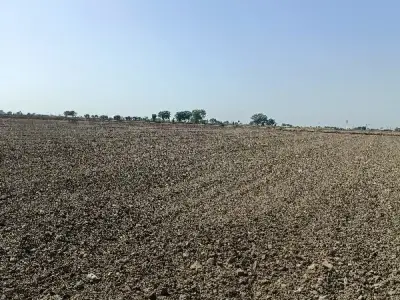 14.5 Vigha Open Agricultural Land Plot 14.5 Vigha Open Agricultural Land Plot