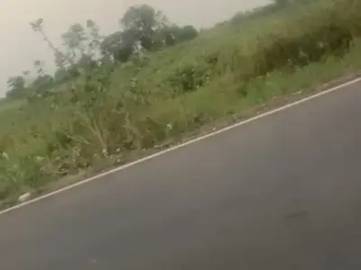 road touch jamin