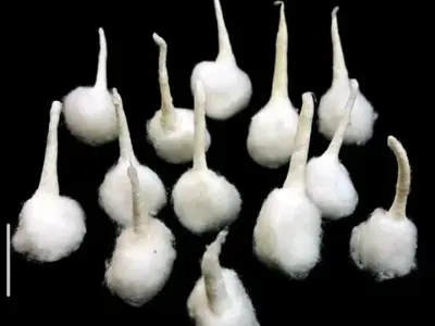 Handmade White Cotton Temple Decor Set
