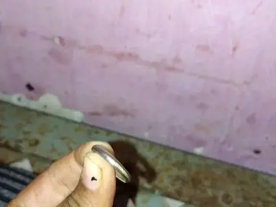 Silver Ring for Daily Wear Silver Ring for Daily Wear