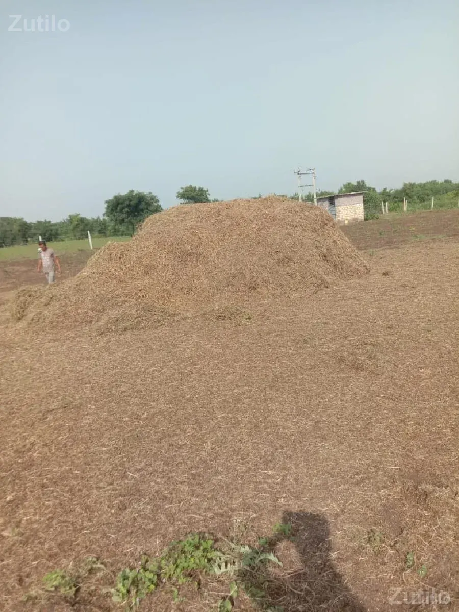 ખેતીની જમીન ઉધીયોગ માટે - Land & Plots - Jafrabad - Image 1