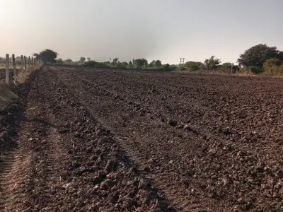 7.5 vigha 7.5 vigha