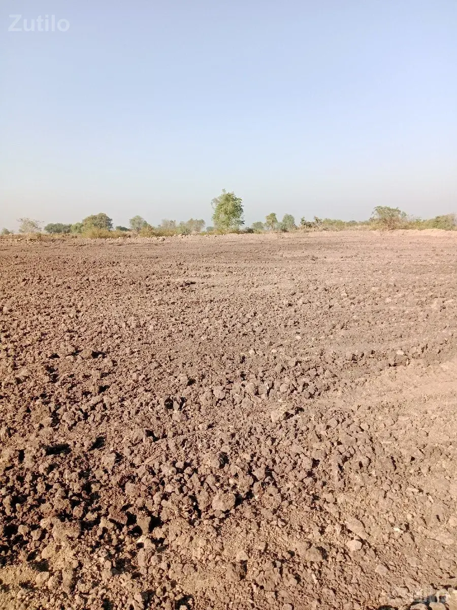 7.5 vigha - જમીન અને પ્લોટ - ઊના - Image 3