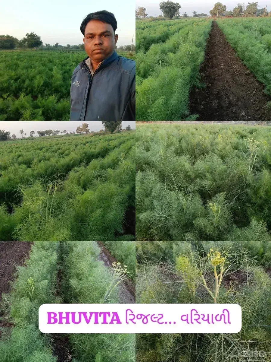 જમીન - Land & Plots - Gandhinagar City - Image 1