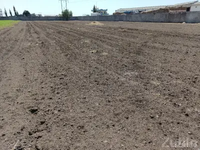 4 Bigha Open Land for Rent with Labour Quarter