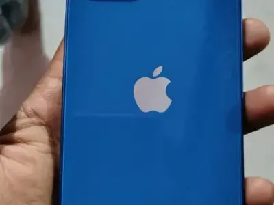 9265590294 9265590294