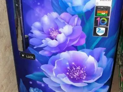 Single Door Refrigerator with Floral Design Single Door Refrigerator with Floral Design